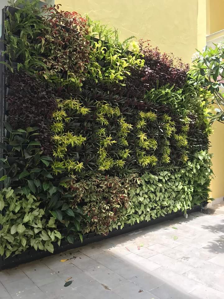 Thiết kế thi công vườn tường đứng tường cây xanh chất lượng cao 2023